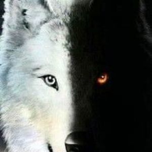 Meet your Posher, Gerald